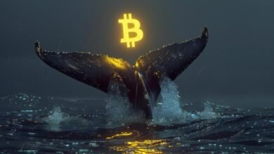 crypto30x.com ocean